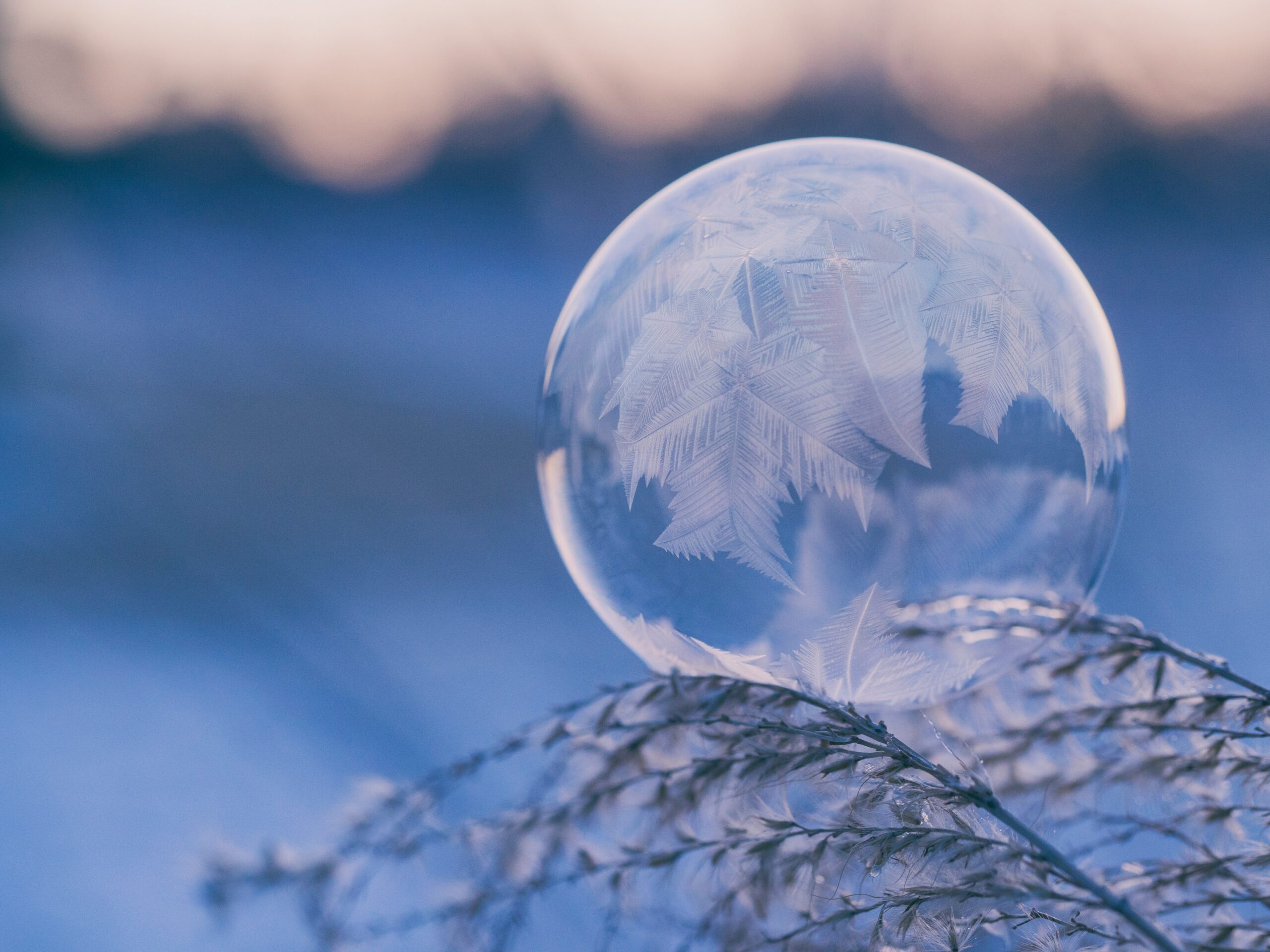 Foto von Benjamin Voros auf Unsplash