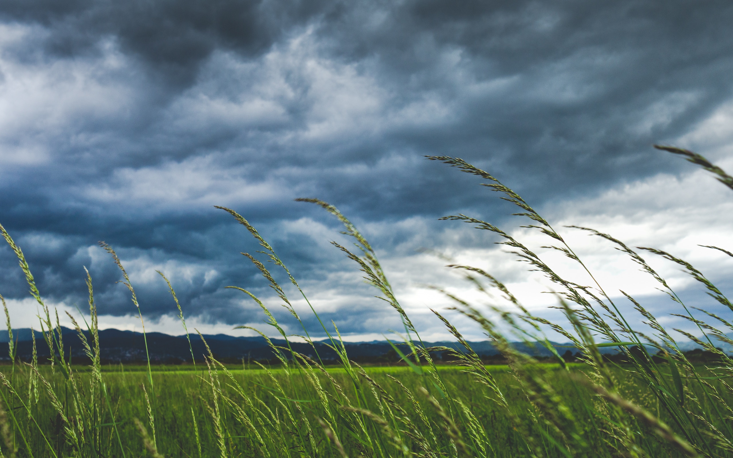 Photo by Ivan Vranić on Unsplash