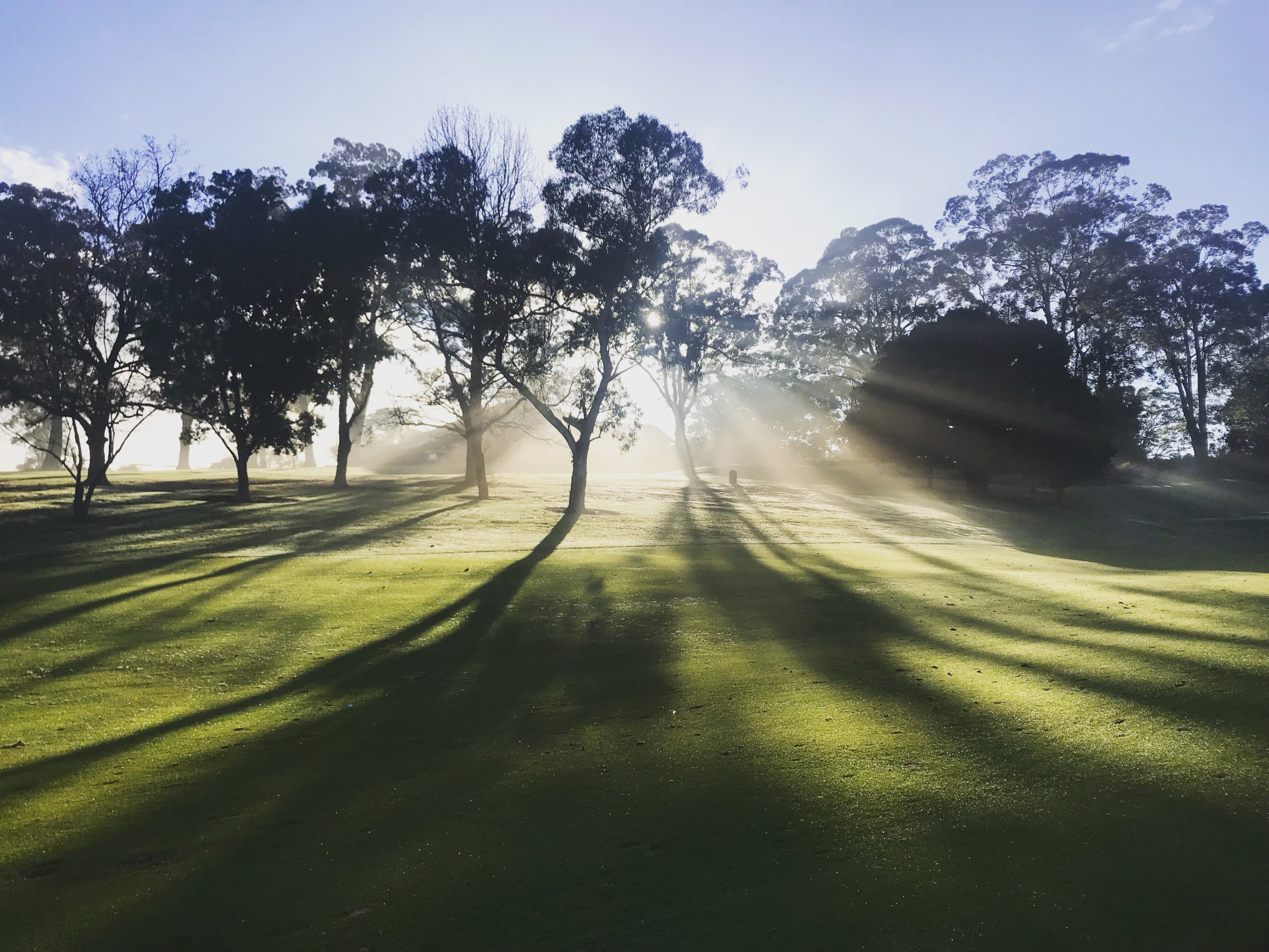 Photo by Mandy Henry on Unsplash