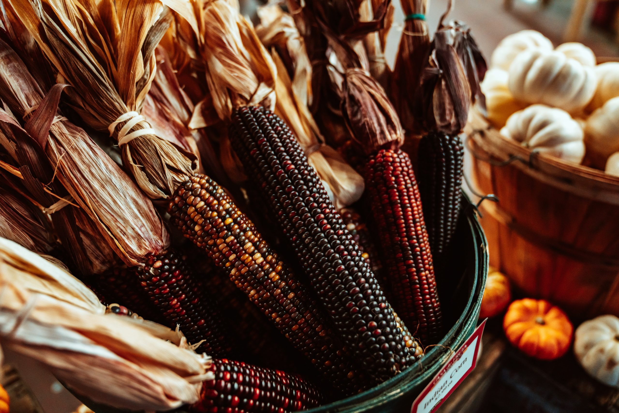 Photo by Meritt Thomas on Unsplash