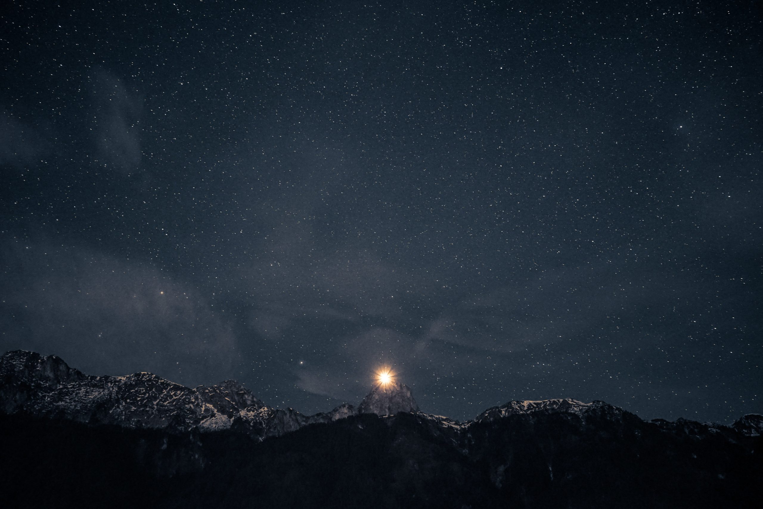 Photo by Raphael Schaller on Unsplash