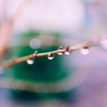 Photo by Rodion Kutsaev on Unsplash