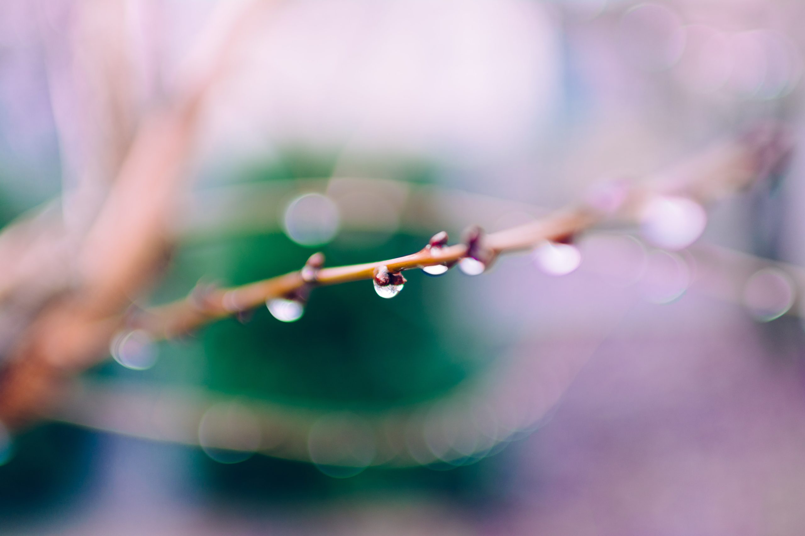 Photo by Rodion Kutsaev on Unsplash